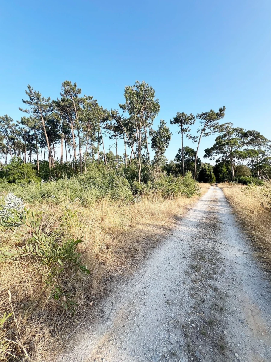 Terreno para Venda em Gafanha da Encarnação Foto 14