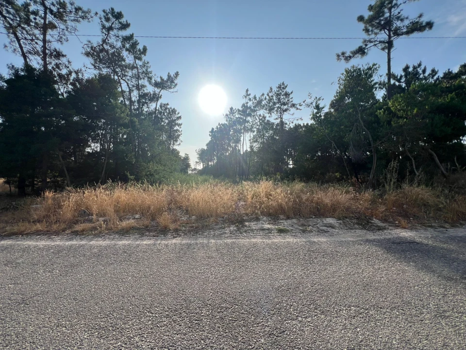 Terreno para Venda em Gafanha da Encarnação Foto 3