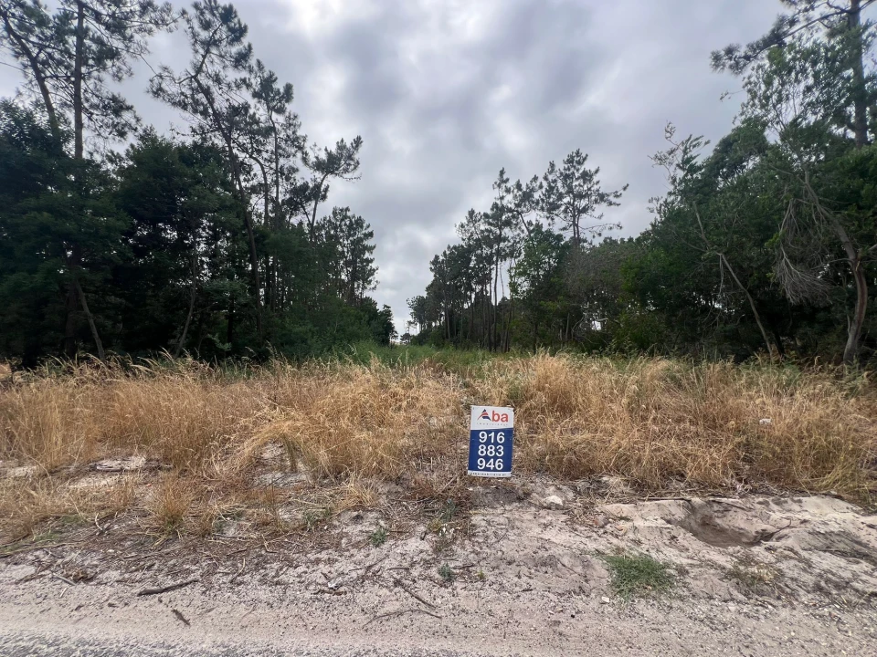 Terreno para Venda em Gafanha da Encarnação Foto 2