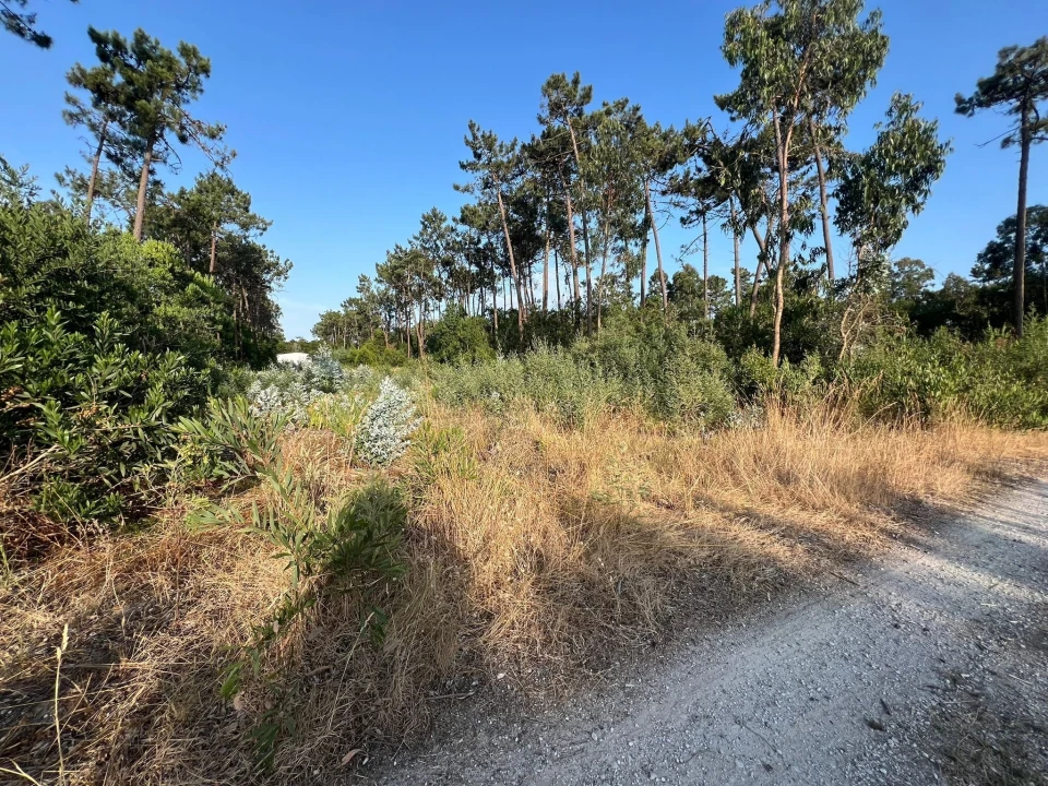 Terreno para Venda em Gafanha da Encarnação Foto 11