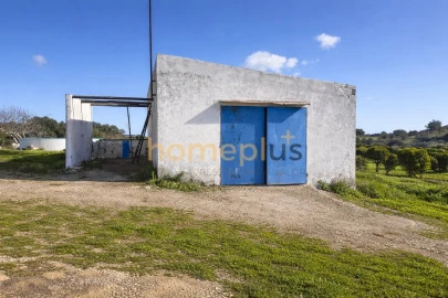 Quinta T3 para Venda em Quelfes