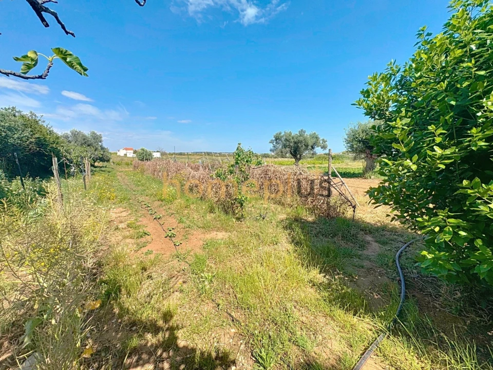 Moradia T5 para Venda em Vila Nova de Cacela Foto 20