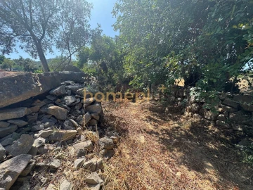 Quinta T3 para Venda em Moncarapacho e Fuseta