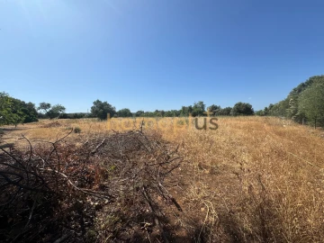 Quinta T3 para Venda em Moncarapacho e Fuseta