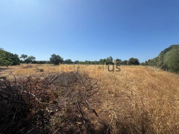 Quinta T3 para Venda em Moncarapacho e Fuseta
