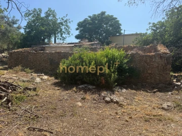 Quinta T3 para Venda em Moncarapacho e Fuseta