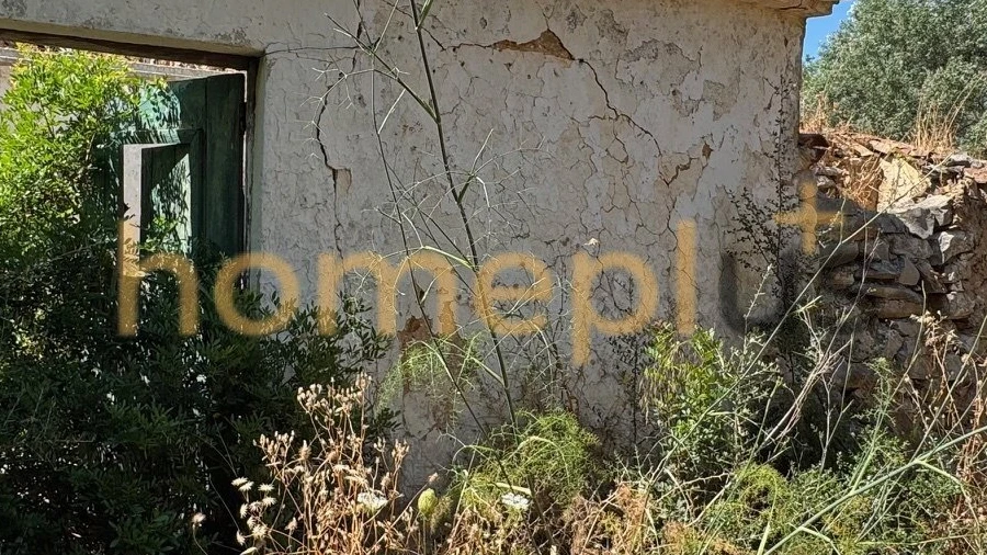 Quinta T3 para Venda em Moncarapacho e Fuseta