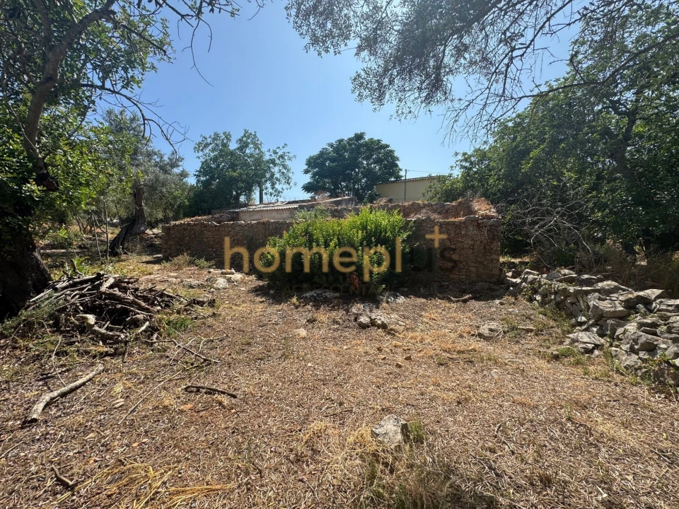 Quinta T3 para Venda em Moncarapacho e Fuseta Foto 10