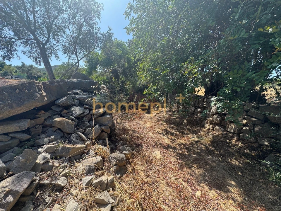 Quinta T3 para Venda em Moncarapacho e Fuseta Foto 5