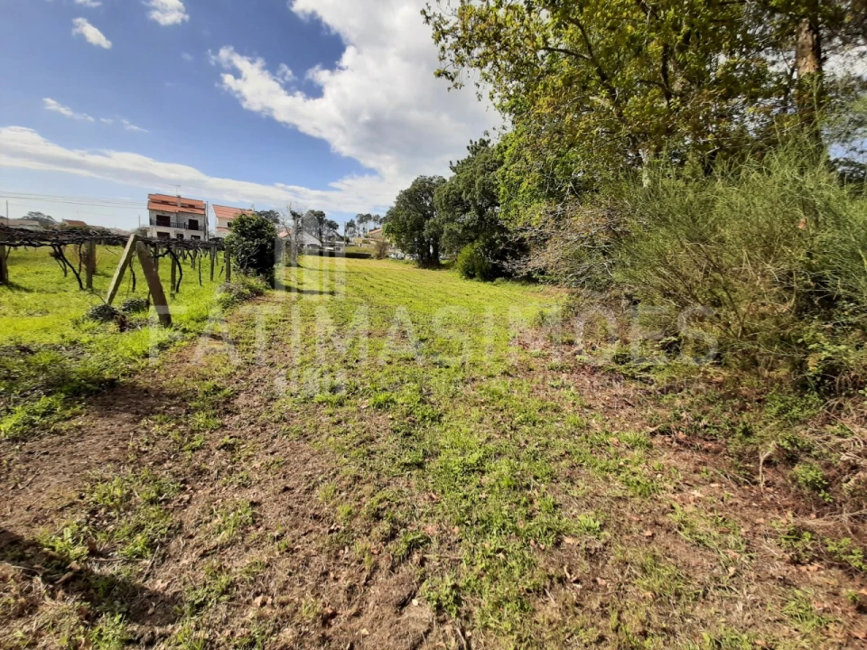 Terreno para Venda em Vile Foto 1