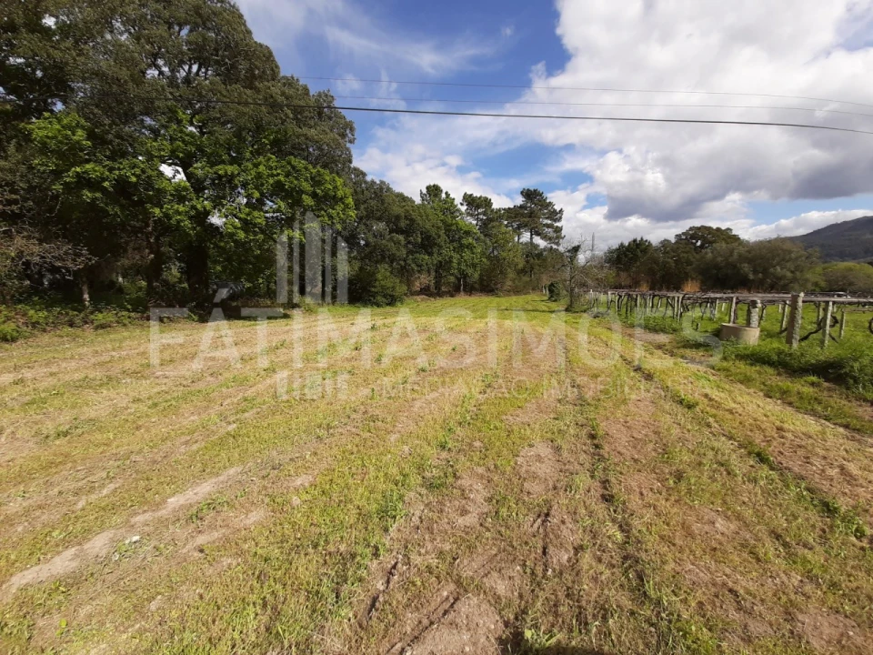 Terreno para Venda em Vile Foto 2