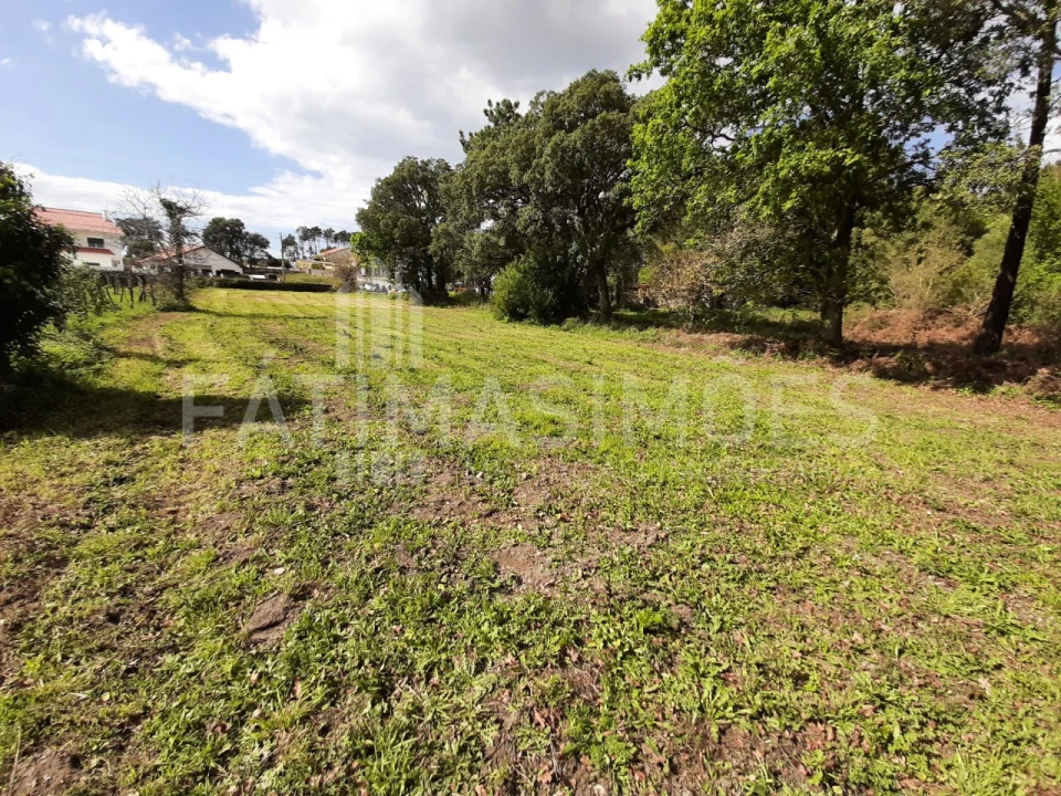 Terreno para Venda em Vile Foto 3