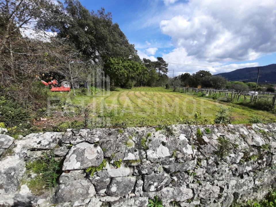 Terreno para Venda em Vile Foto 4