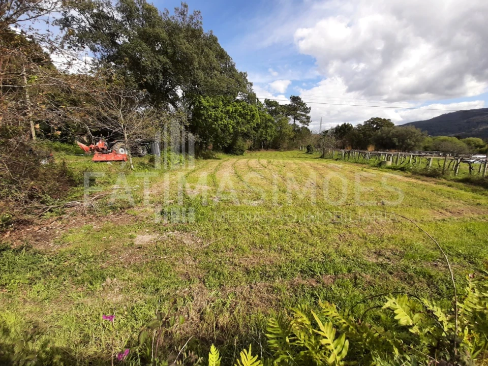 Terreno para Venda em Vile Foto 5