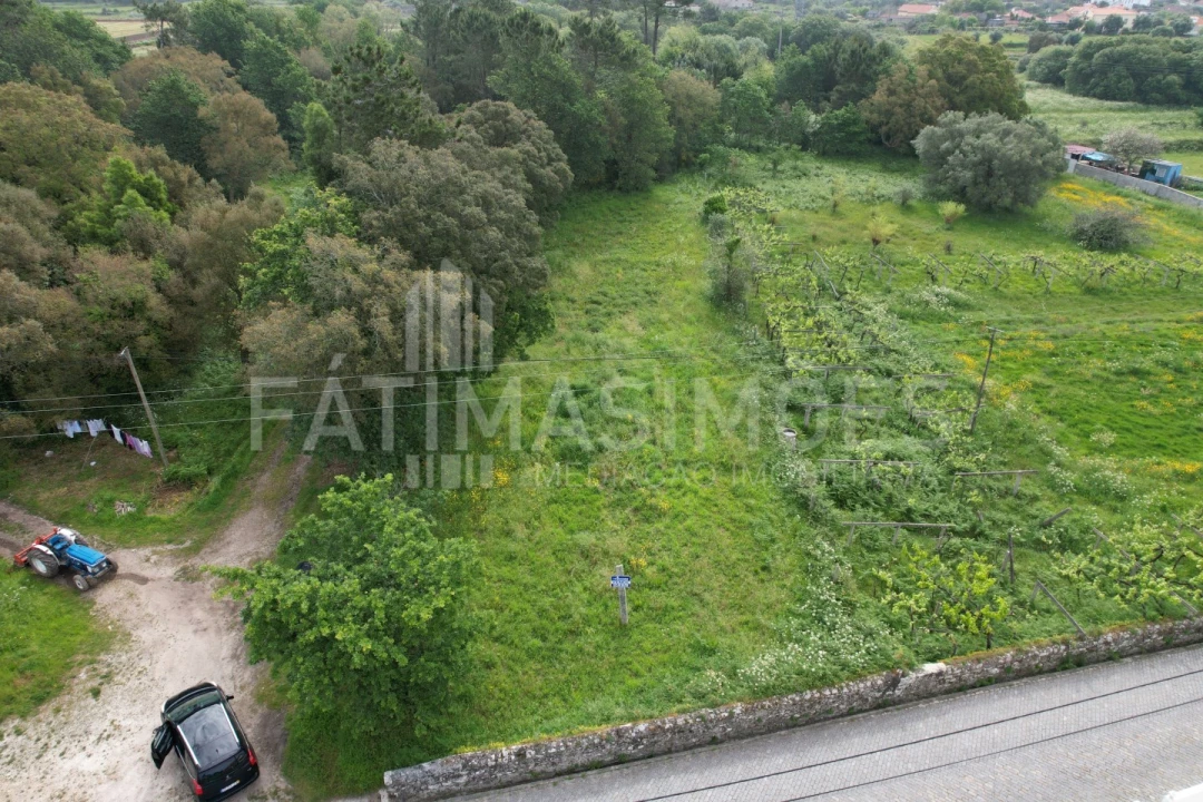 Terreno para Venda em Vile Foto 7