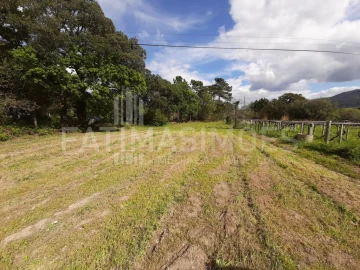 Terreno para Venda em Vile