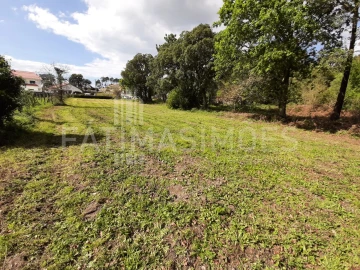 Terreno para Venda em Vile