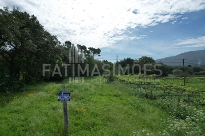 Terreno para Venda em Vile