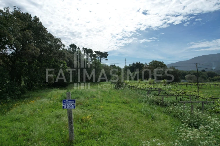 Terreno para Venda em Vile Foto 8