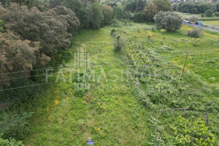 Terreno para Venda em Vile Foto 9