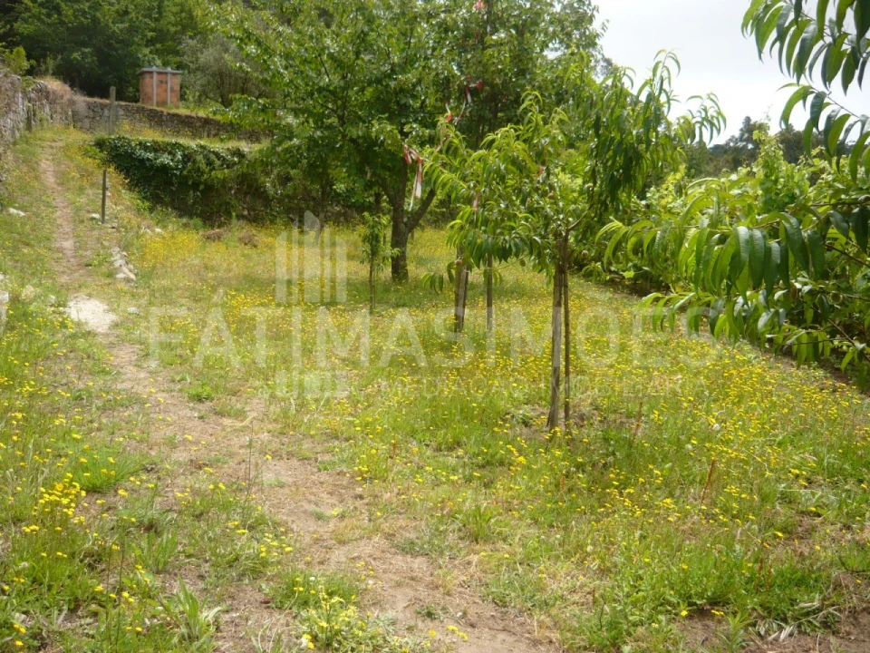 Terreno para Venda em Moledo e Cristelo Foto 1