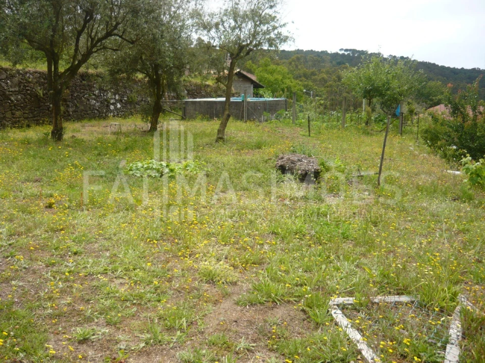 Terreno para Venda em Moledo e Cristelo Foto 2