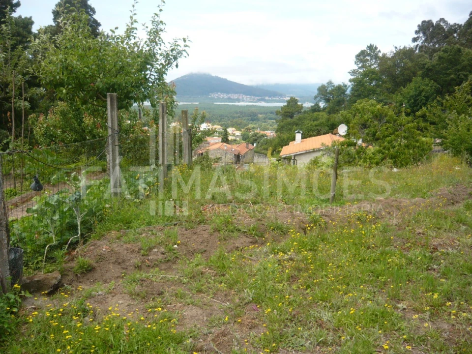 Terreno para Venda em Moledo e Cristelo Foto 4