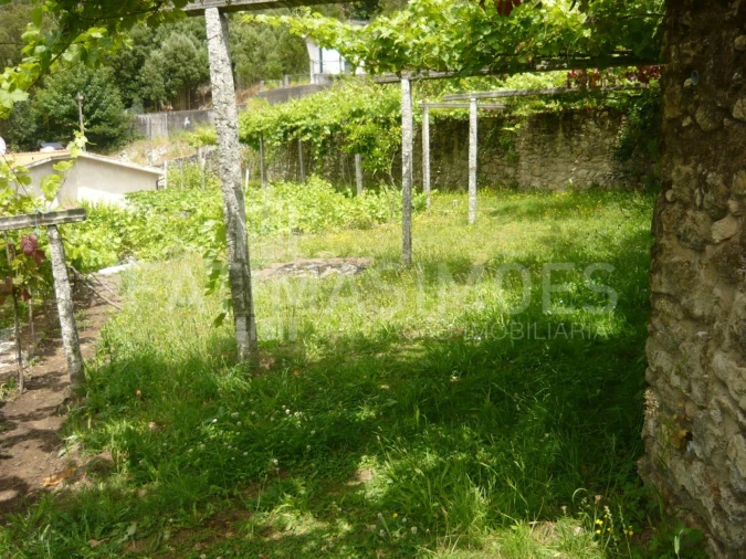 Terreno para Venda em Moledo e Cristelo Foto 3