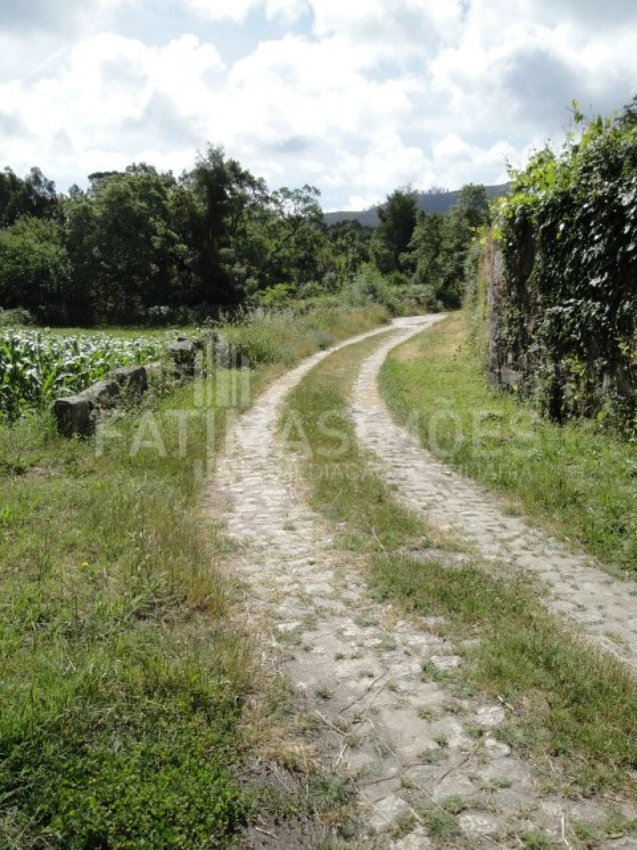 Terreno para Venda em Freixieiro de Soutelo Foto 4