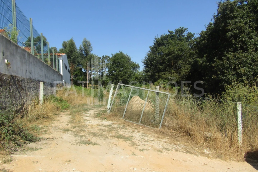 Terreno para Venda em Ancora Foto 1