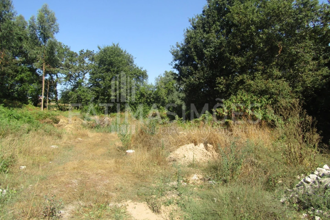 Terreno para Venda em Ancora Foto 3