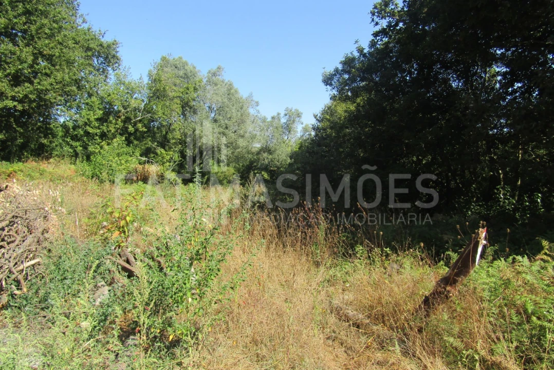 Terreno para Venda em Ancora Foto 4