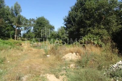 Terreno para Venda em Ancora