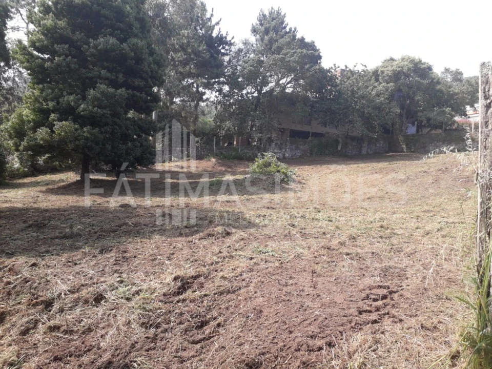 Terreno para Venda em Moledo e Cristelo Foto 1