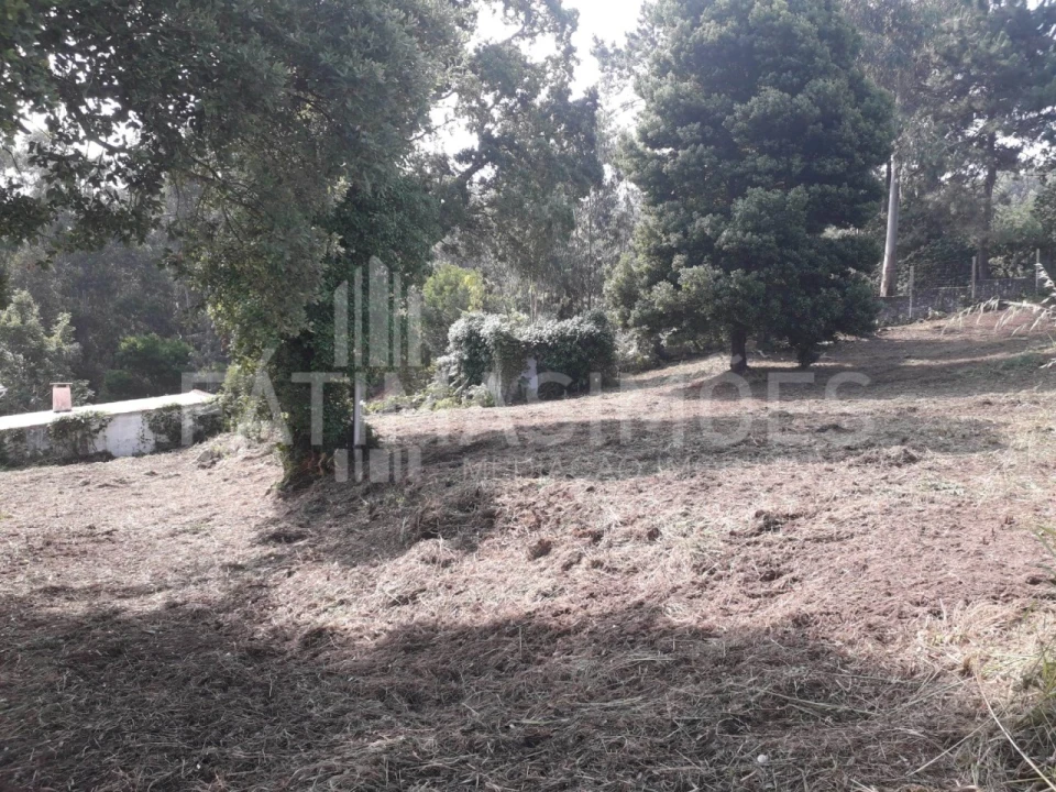 Terreno para Venda em Moledo e Cristelo Foto 2