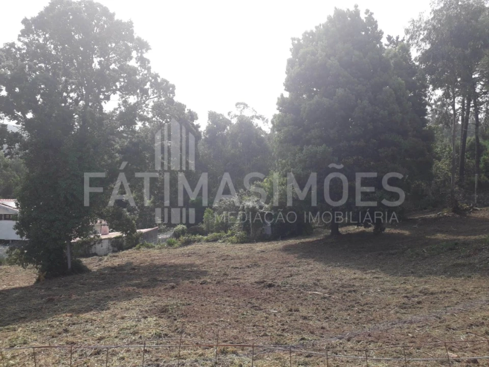 Terreno para Venda em Moledo e Cristelo Foto 3