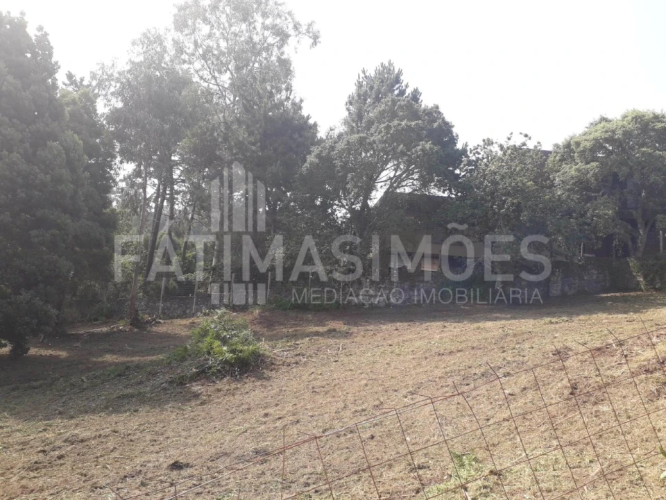 Terreno para Venda em Moledo e Cristelo Foto 4