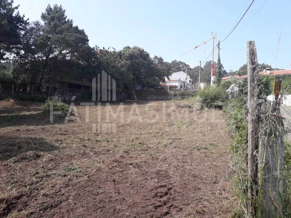 Terreno para Venda em Moledo e Cristelo Foto 5