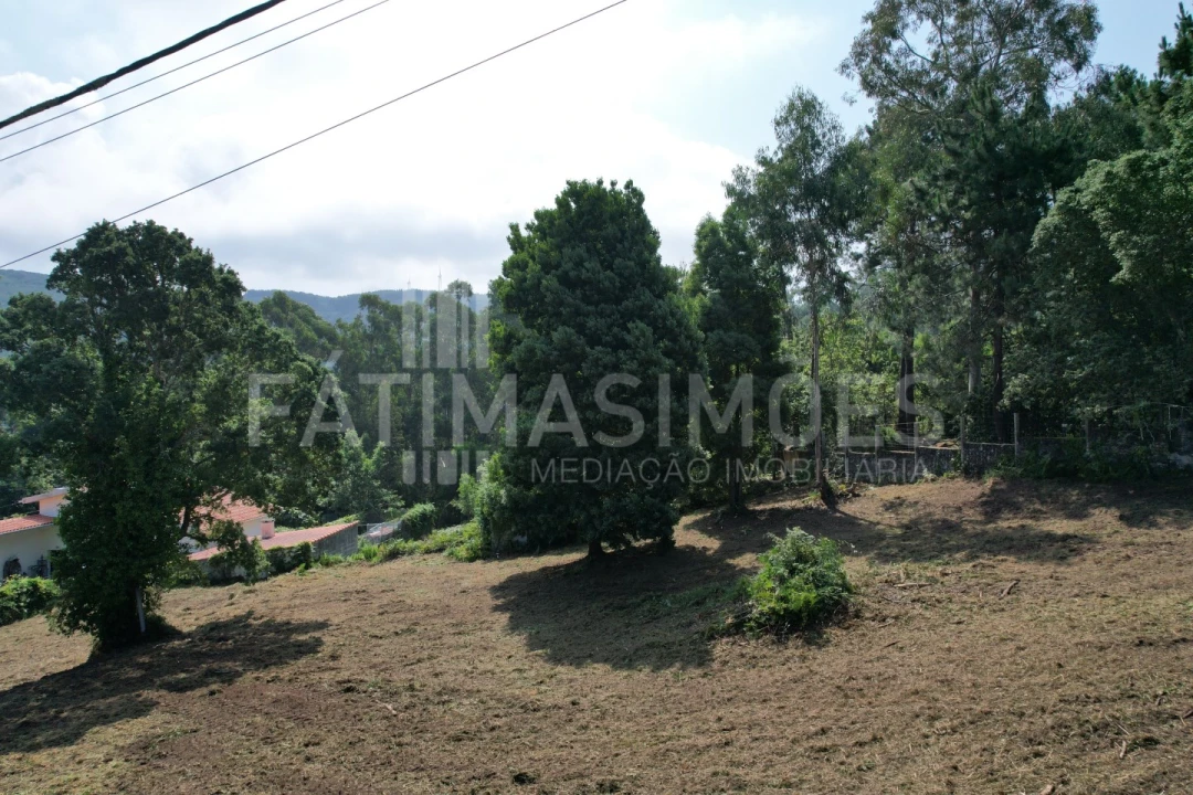 Terreno para Venda em Moledo e Cristelo Foto 6