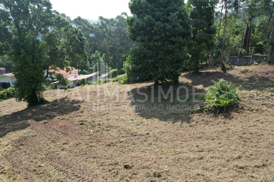 Terreno para Venda em Moledo e Cristelo Foto 7