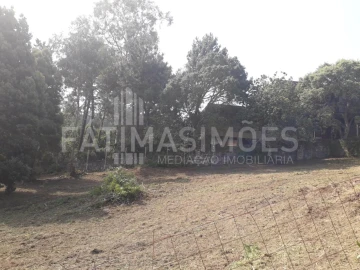 Terreno para Venda em Moledo e Cristelo
