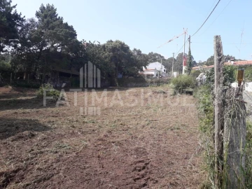 Terreno para Venda em Moledo e Cristelo