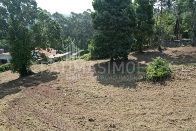 Terreno para Venda em Moledo e Cristelo