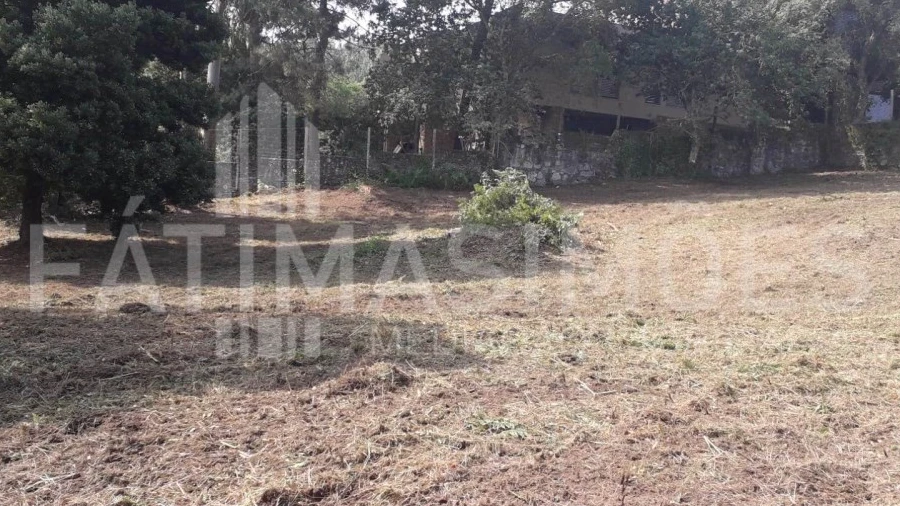 Terreno para Venda em Moledo e Cristelo