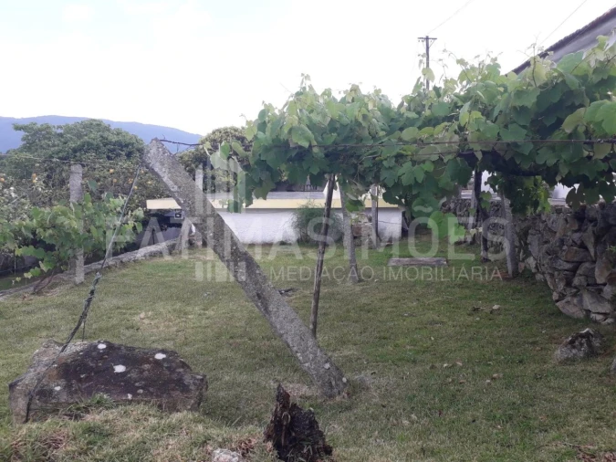 Quinta para Venda em Vila Praia de Ancora Foto 5
