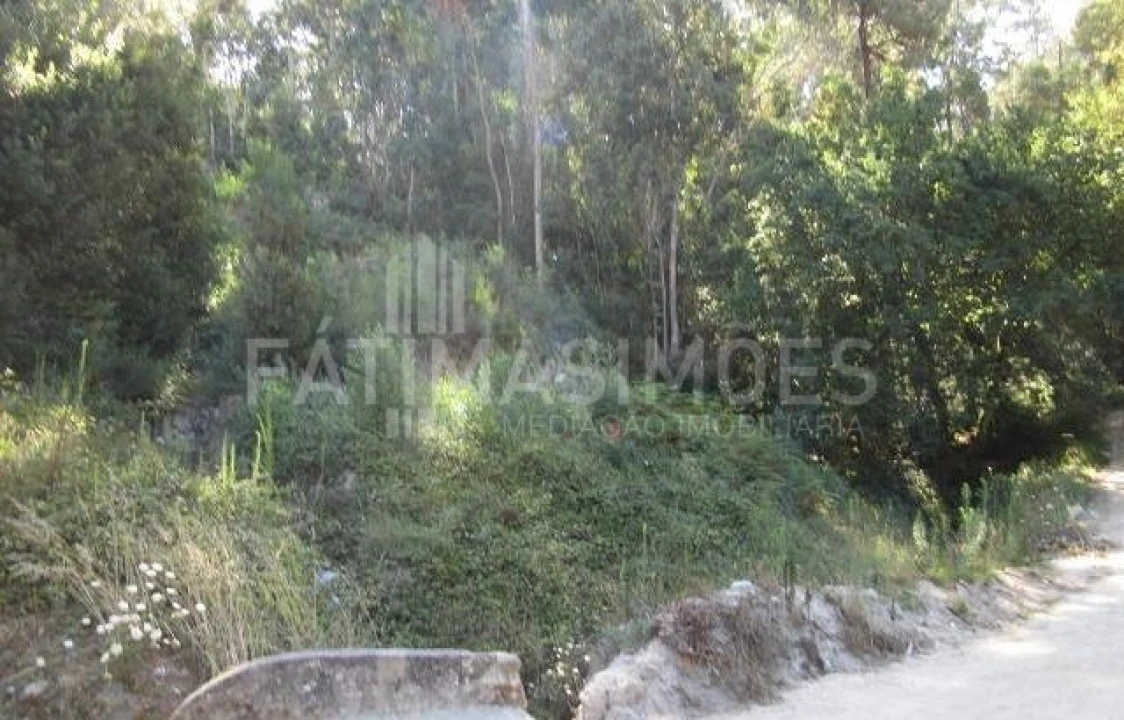 Terreno para Venda em Moledo e Cristelo Foto 2