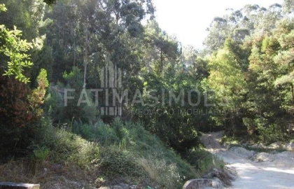 Terreno para Venda em Moledo e Cristelo