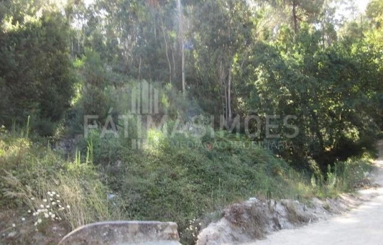 Terreno para Venda em Moledo e Cristelo Foto 2