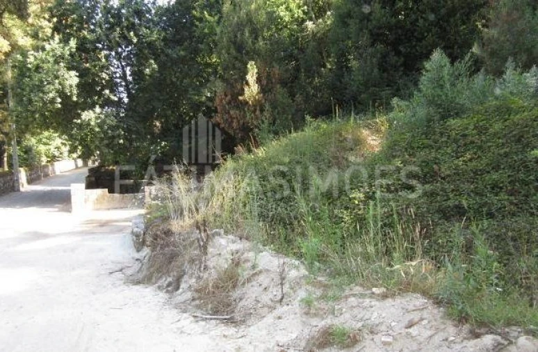 Terreno para Venda em Moledo e Cristelo Foto 3