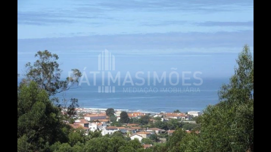 Terreno para Venda em Moledo e Cristelo
